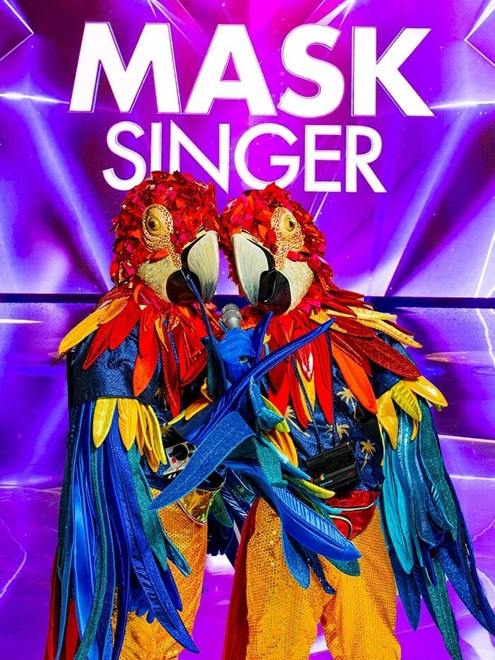 Mask Singer TV Shows About Hidden Identity