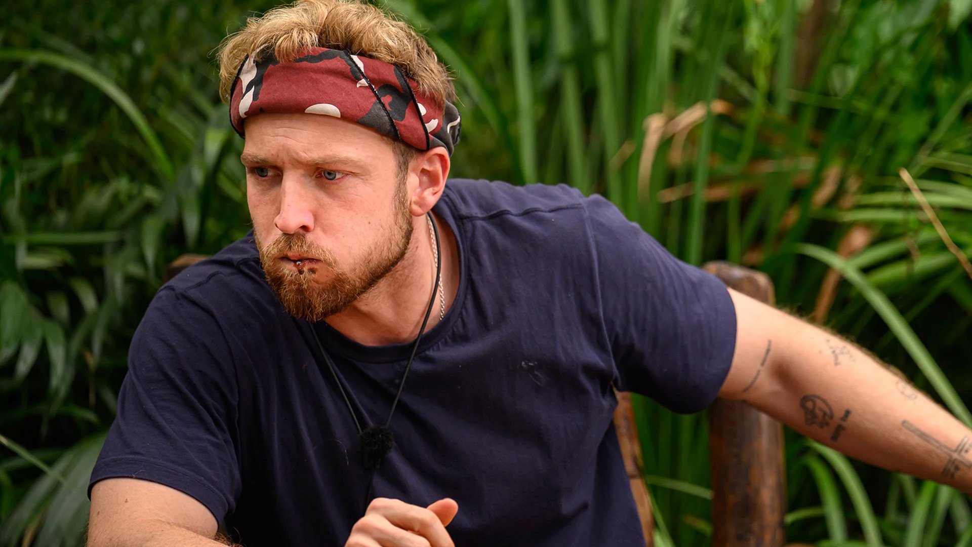 I'm a Celebrity...Get Me Out of Here!