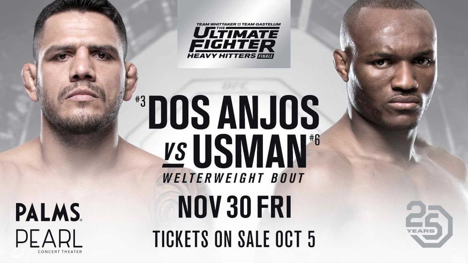 The Ultimate Fighter 28 Finale