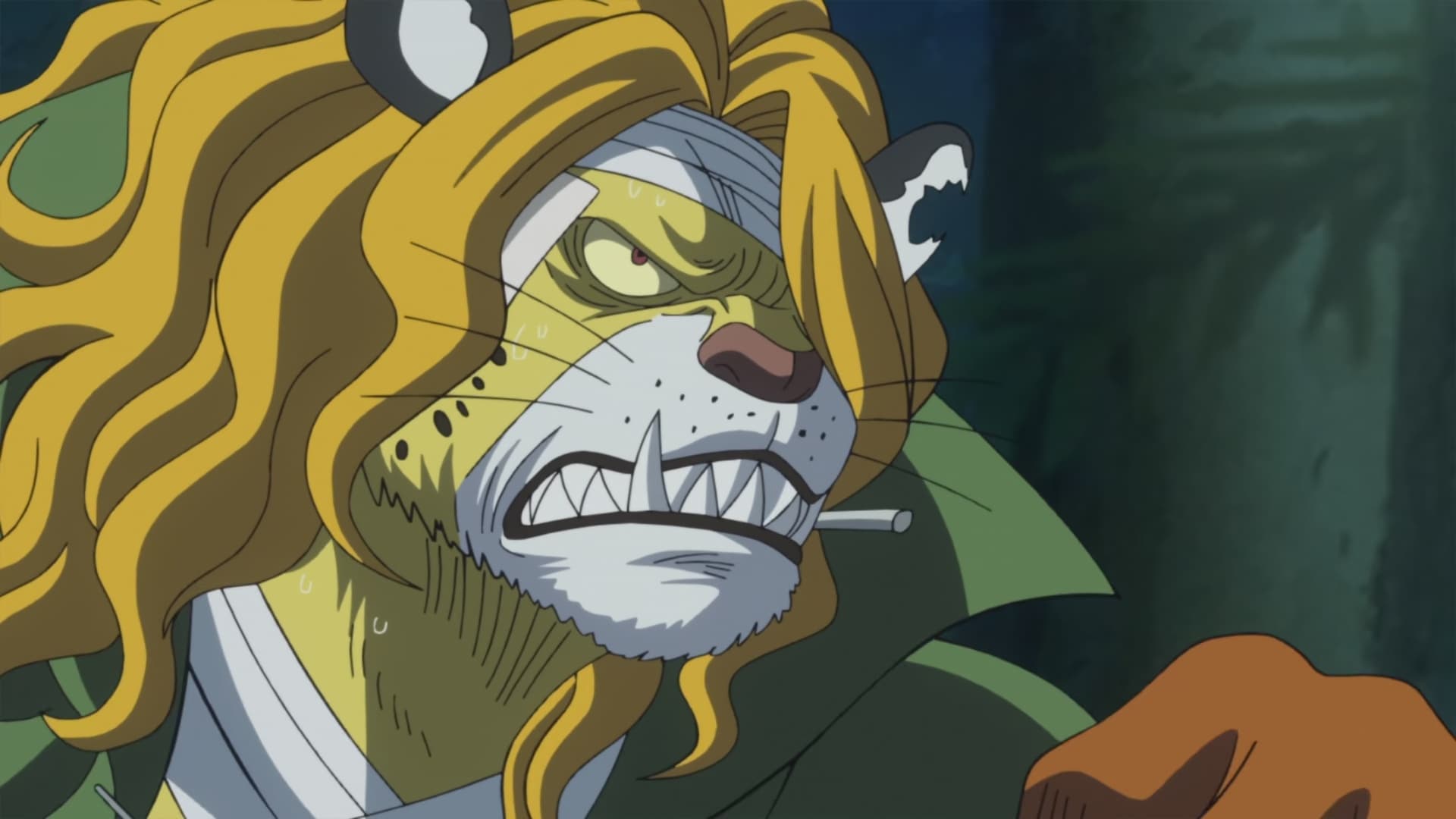 One Piece Season 18 :Episode 767  Isshoku Sokuhatsu - Inu to Neko to Samurai!