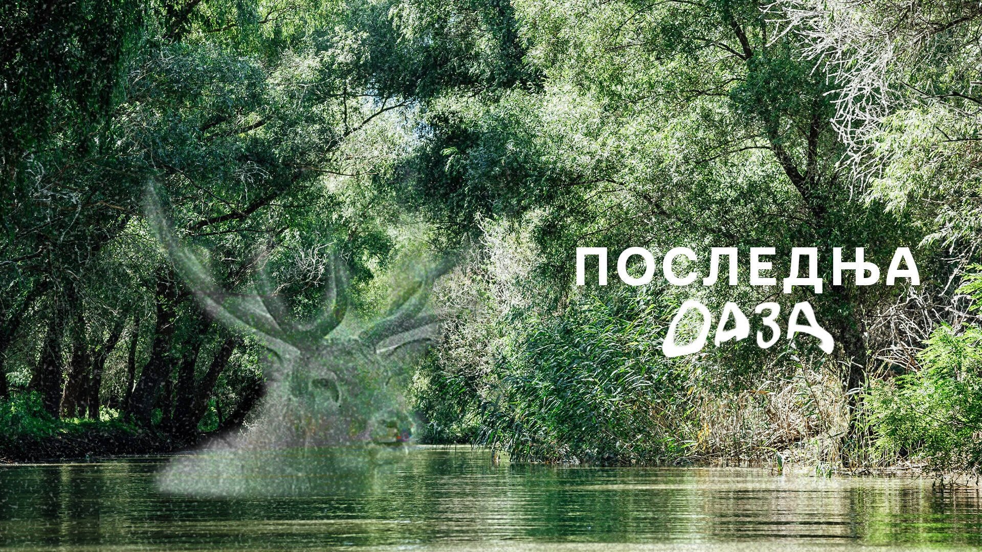 The Last Oasis (1983)