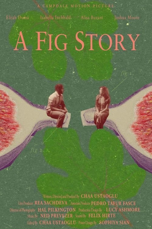 A Fig Story A Fig Story
