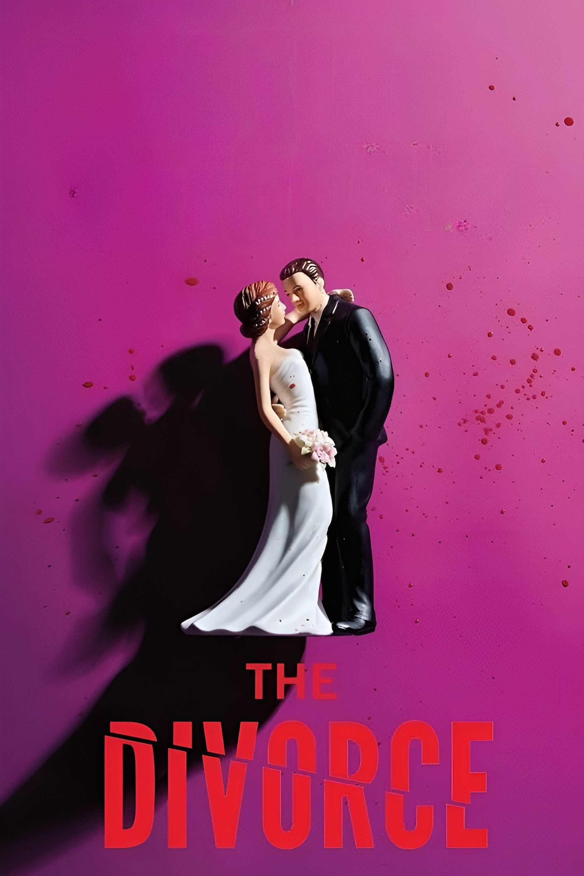 The Divorce (2026) - Freida McFadden Credit Poster