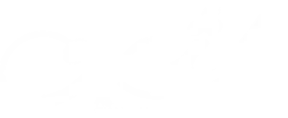 The Price Logo