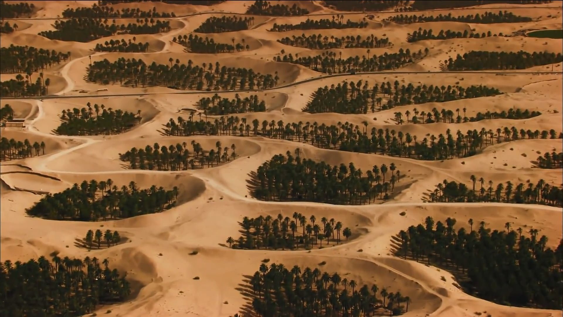 L'Algérie Vue Du Ciel (2015)