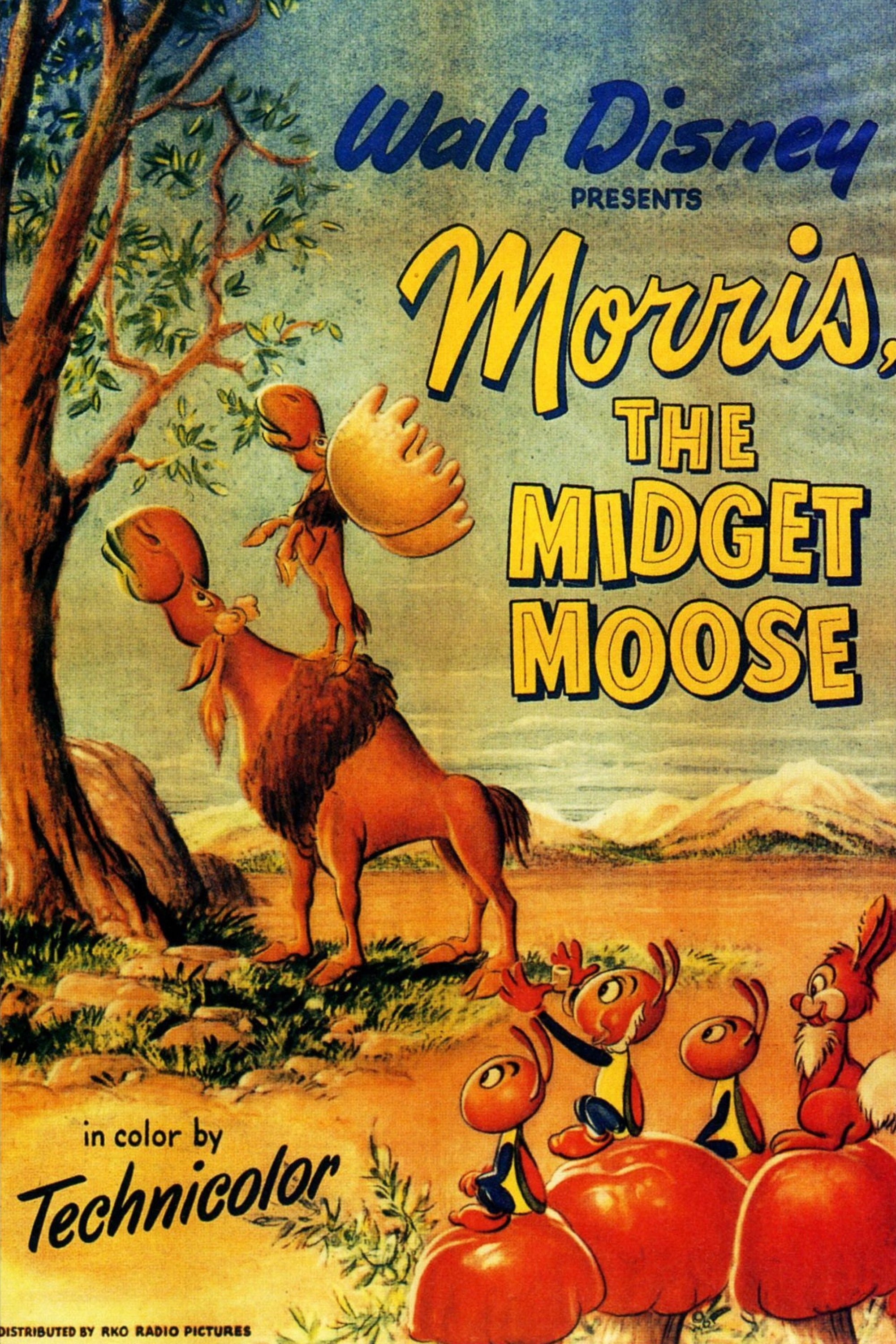 Morris the Midget Moose