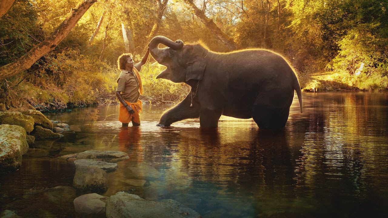 Az elefántsuttogók online teljes dokumentumfilm 2022