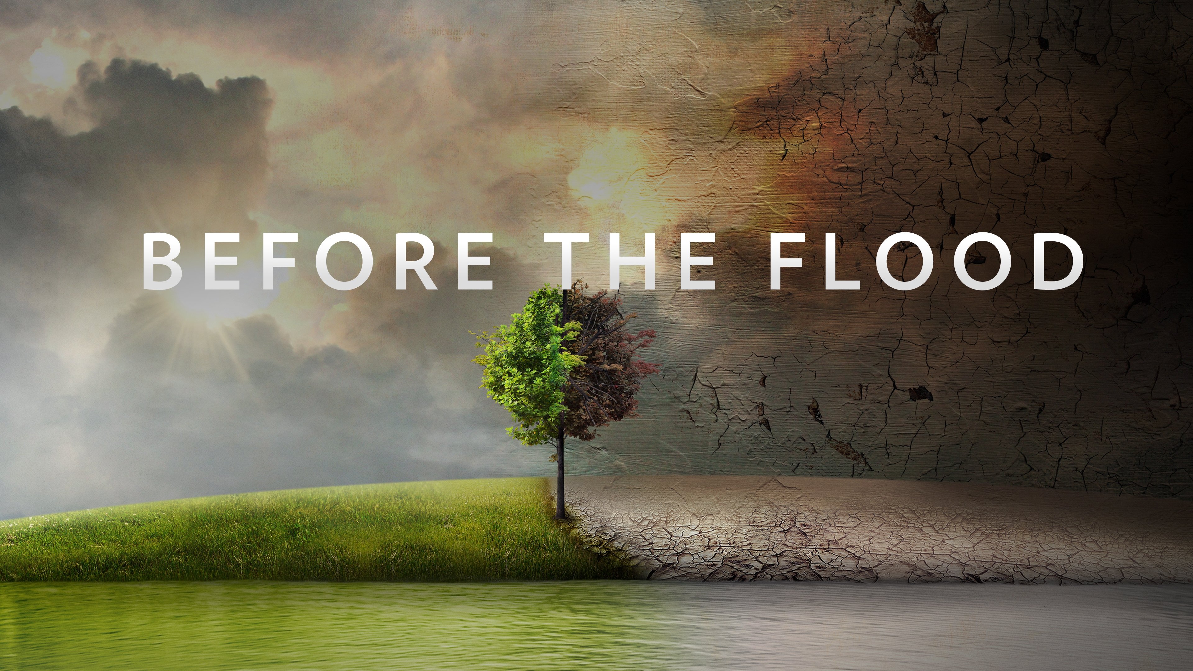 Before the Flood (2016)