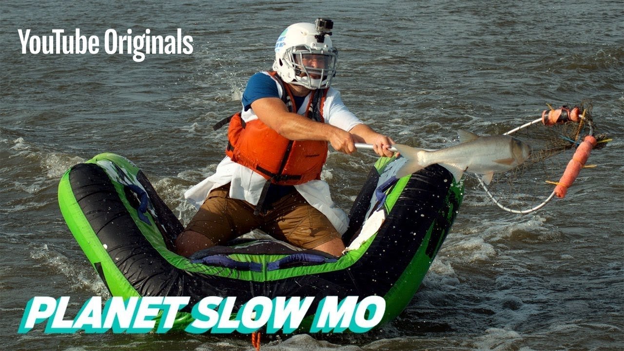 Thumbnail for Catching a Mid-Air Fish Season 1 Episode 6