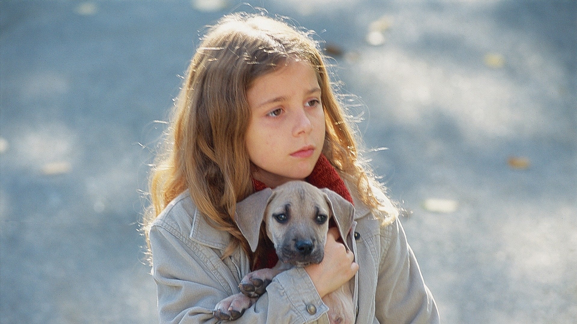 Tøser & hund