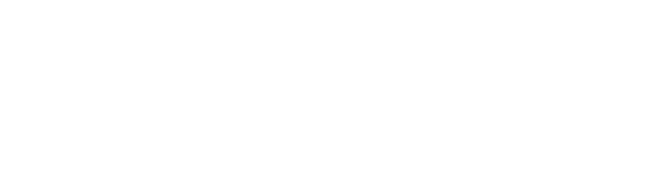 3 Idiots Logo