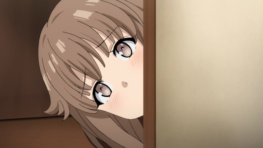 Rascal Does Not Dream of Bunny Girl Senpai