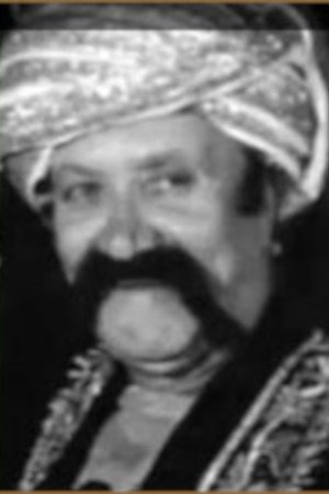 Sadidin Bakdunis's picture in the cast