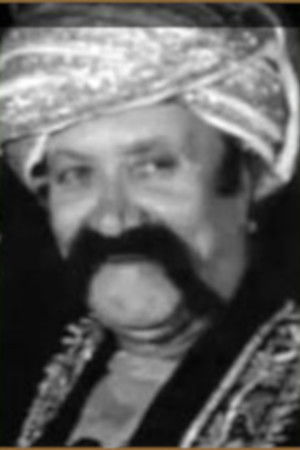 et billede af Sadidin Bakdunis