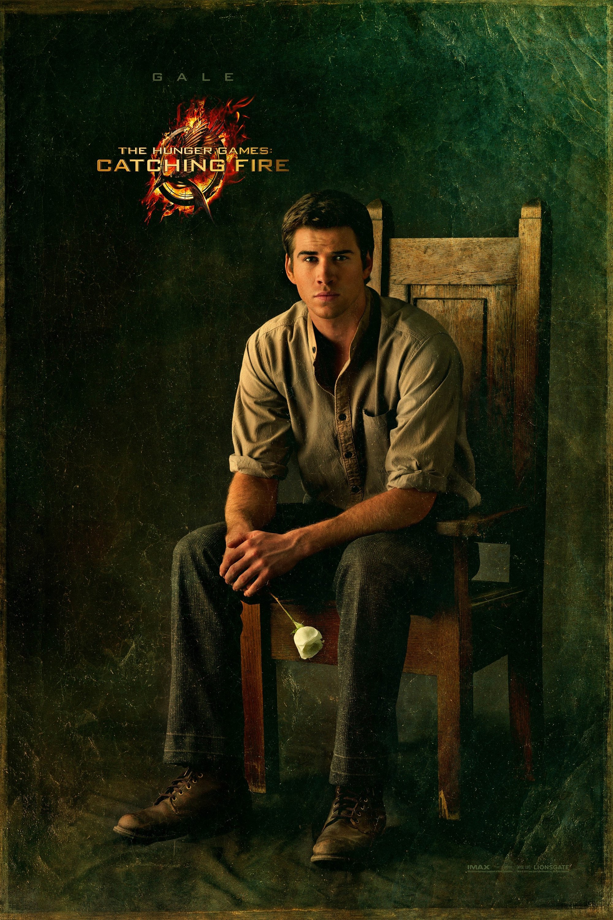 The Hunger Games: Catching Fire