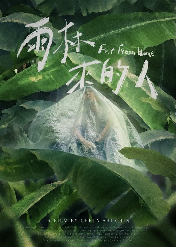 Far From Home Poster