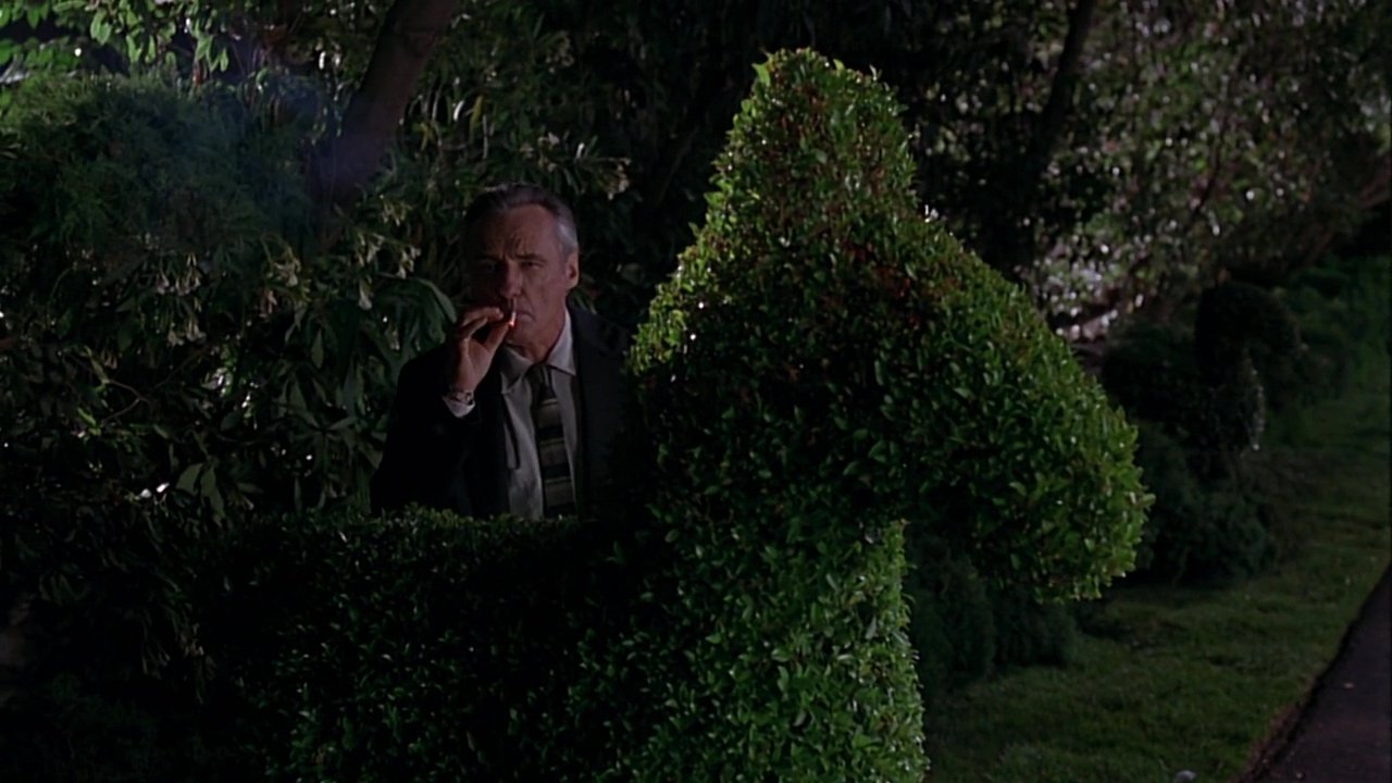Witch Hunt (1994)