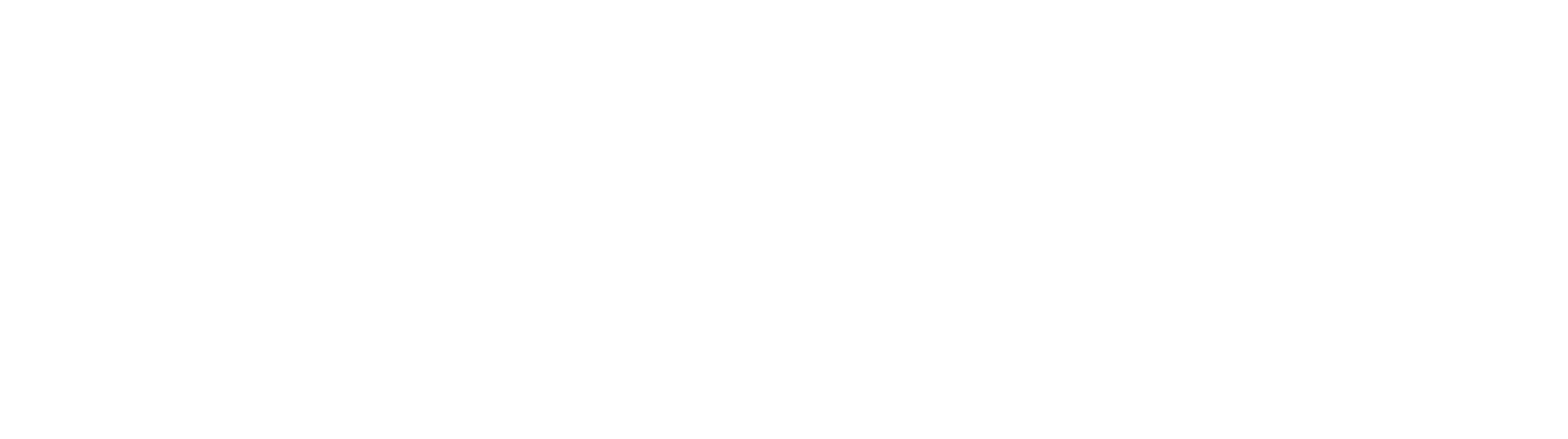 The Real Housewives of Melbourne Logo