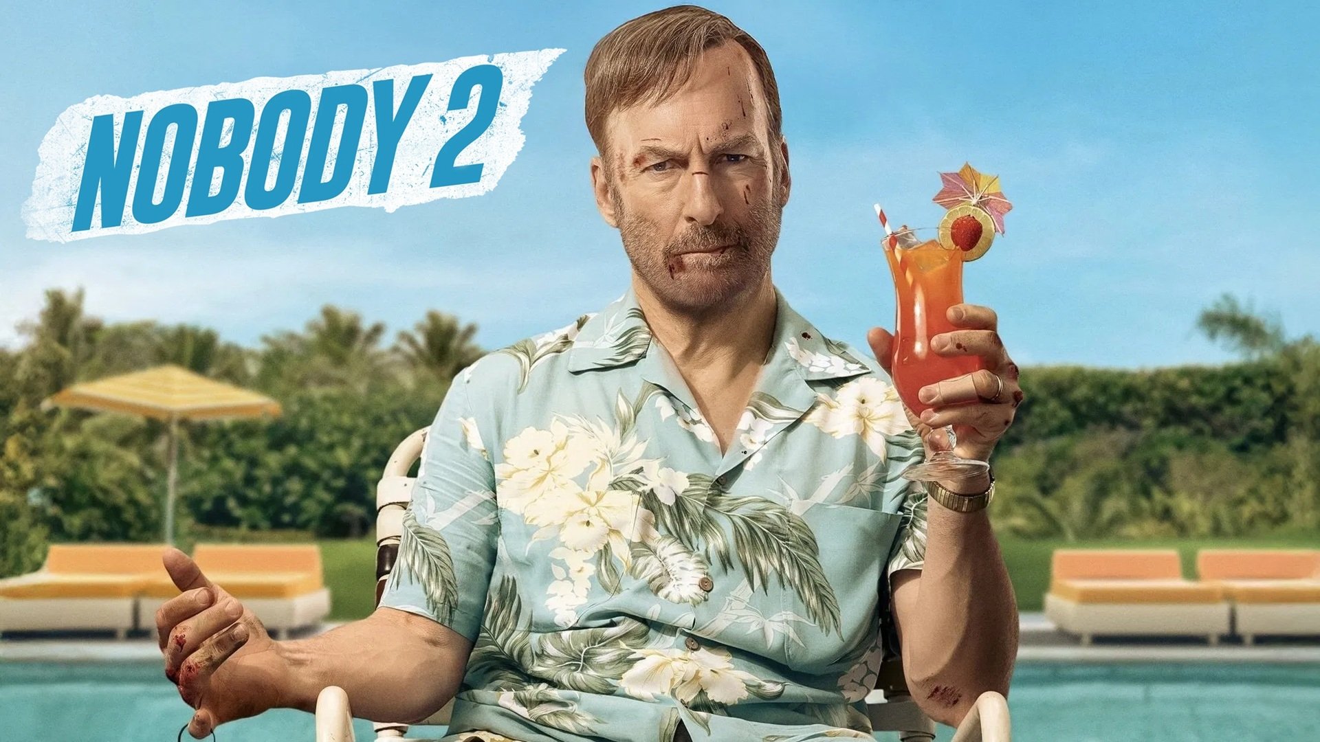 Nobody 2 Movie Poster Image