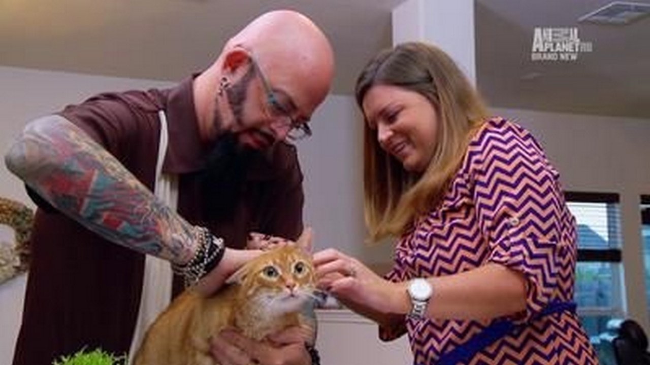 Episode 6