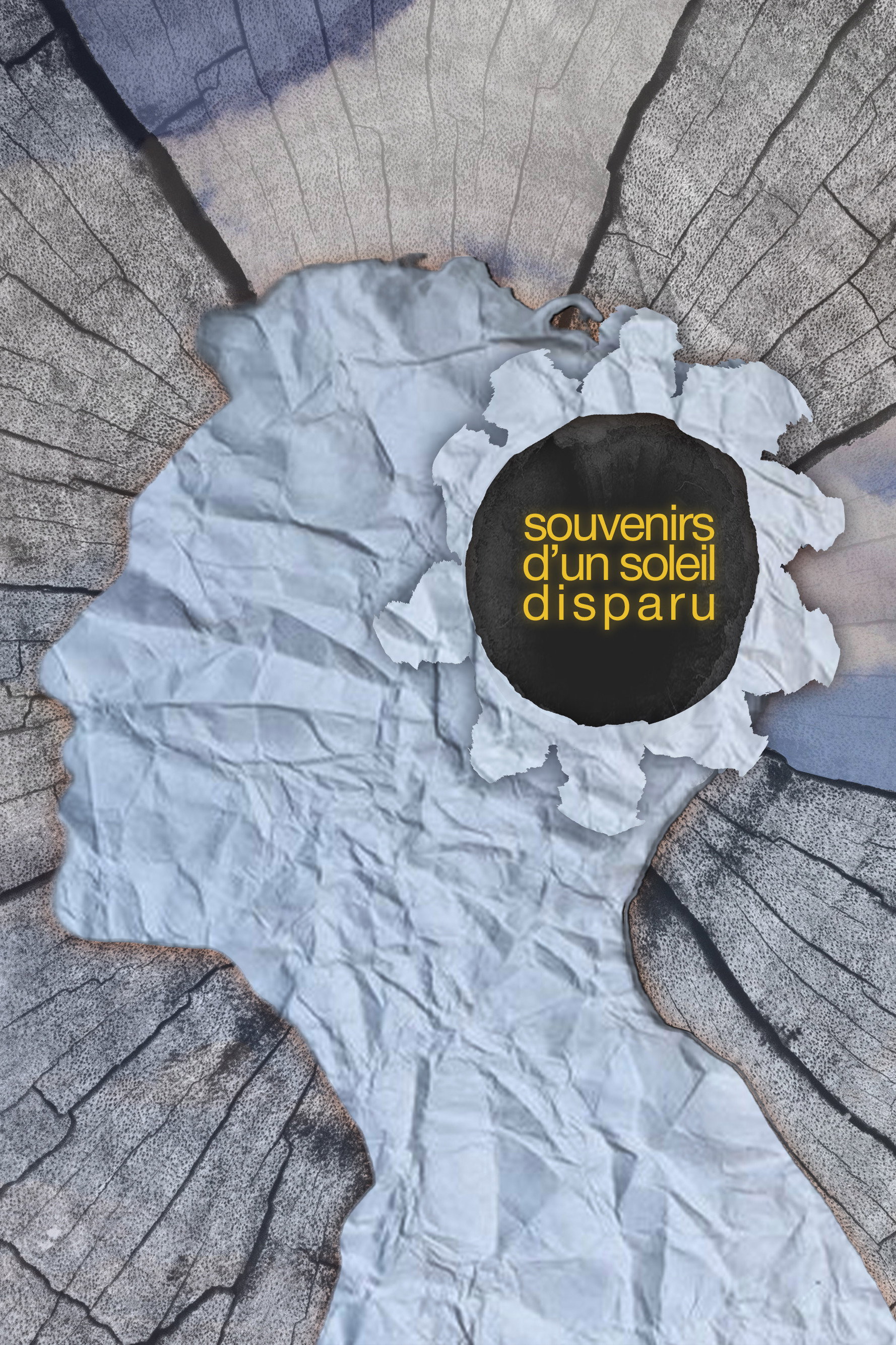Souvenirs d'un soleil disparu