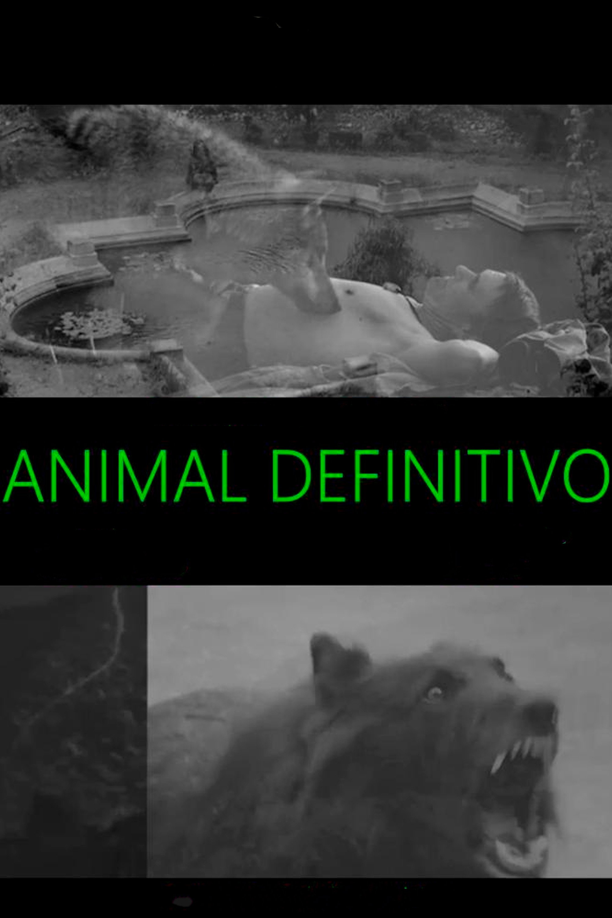 Poster for Animal Definitivo