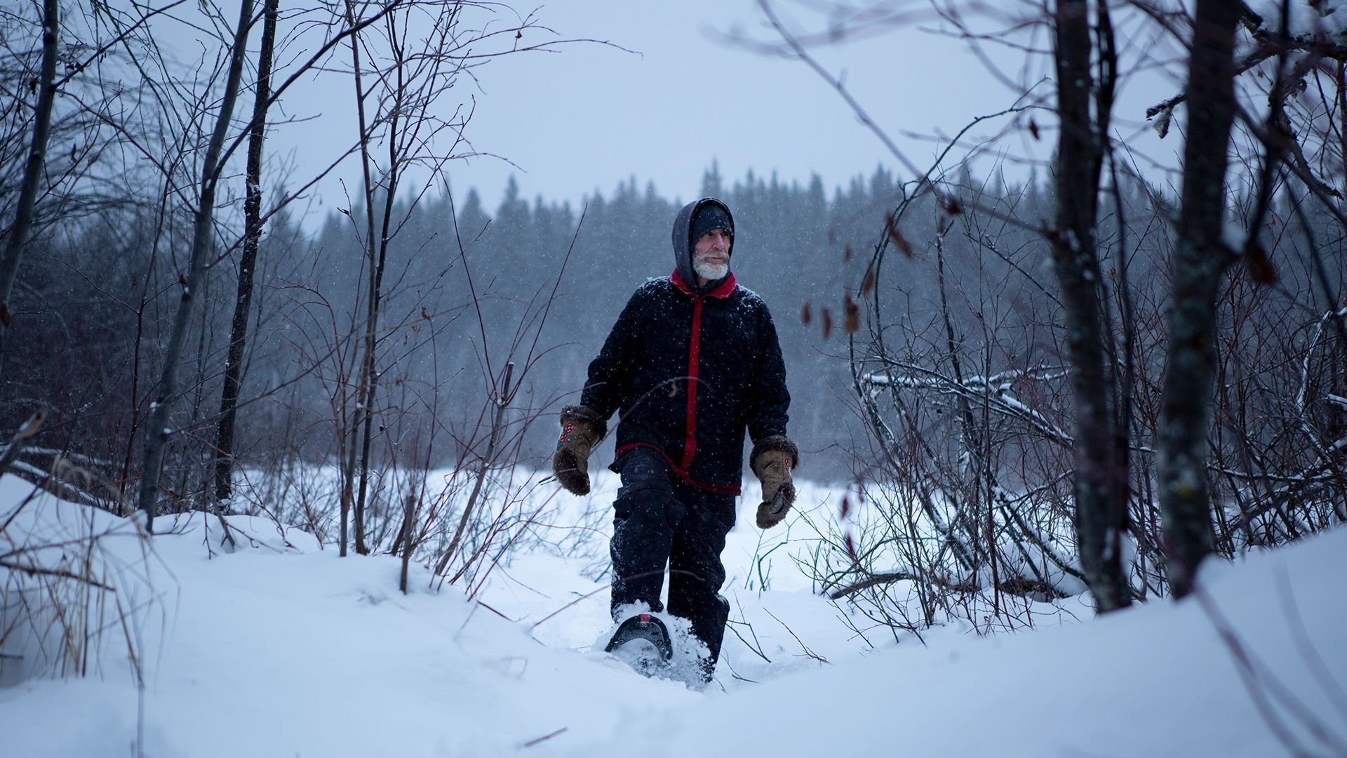 Life Below Zero: Northern Territories