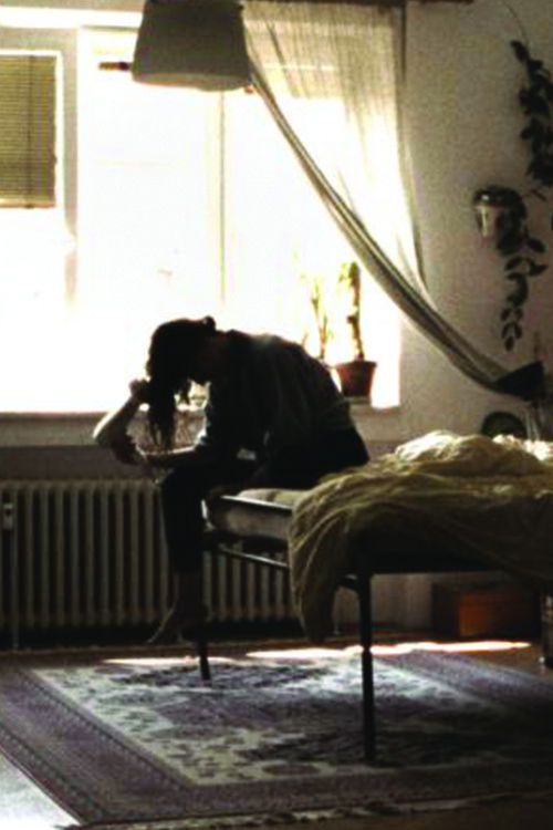 Poster for The Portrait of Irma Geisslová, Who Died Sad