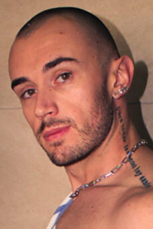 et billede af Phoenix Leo