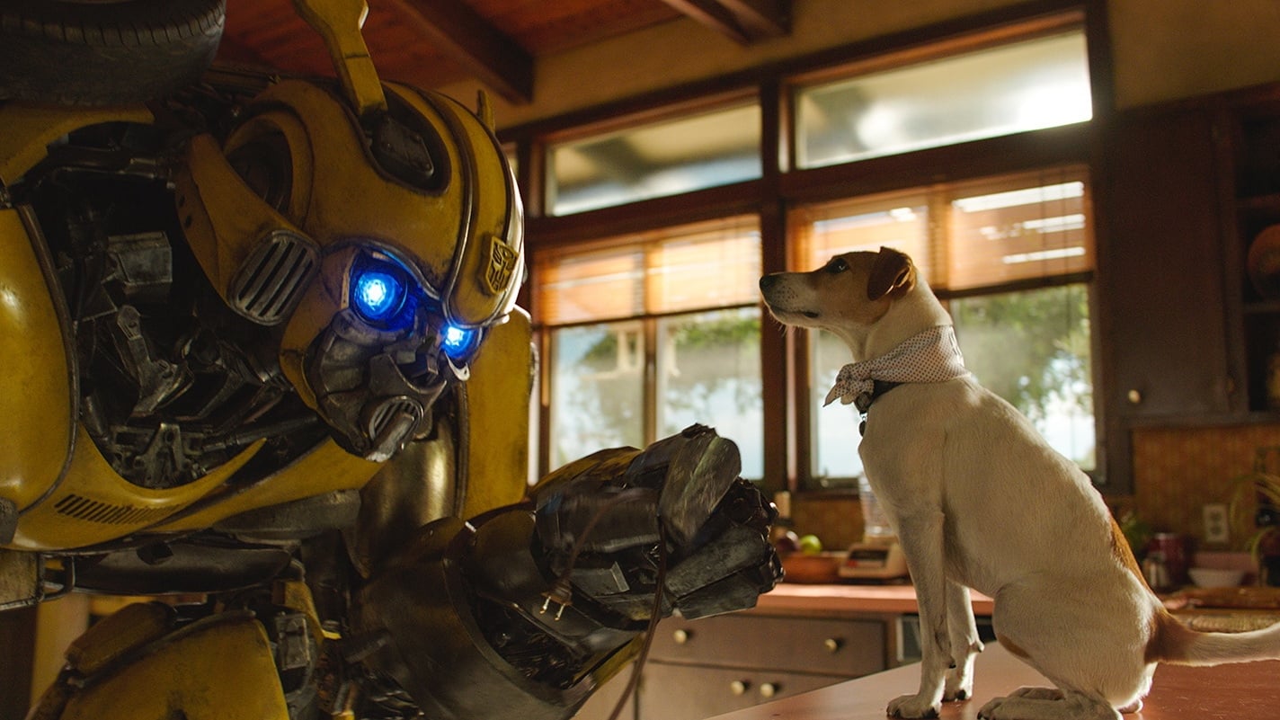 Image du film Bumblebee vefyahhhyeaboptgucqgopu8twjjpg