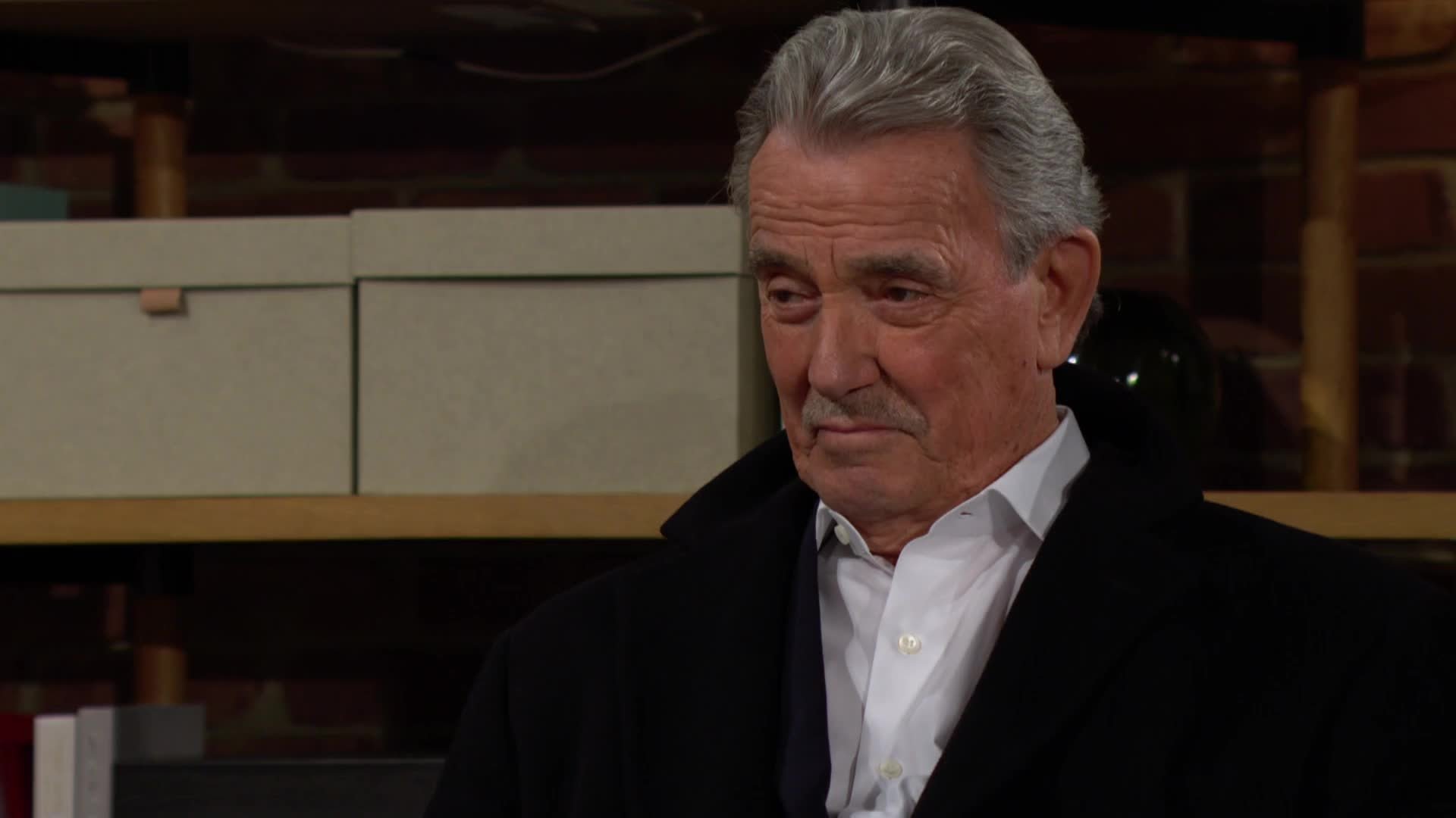 The Young and the Restless 50x71