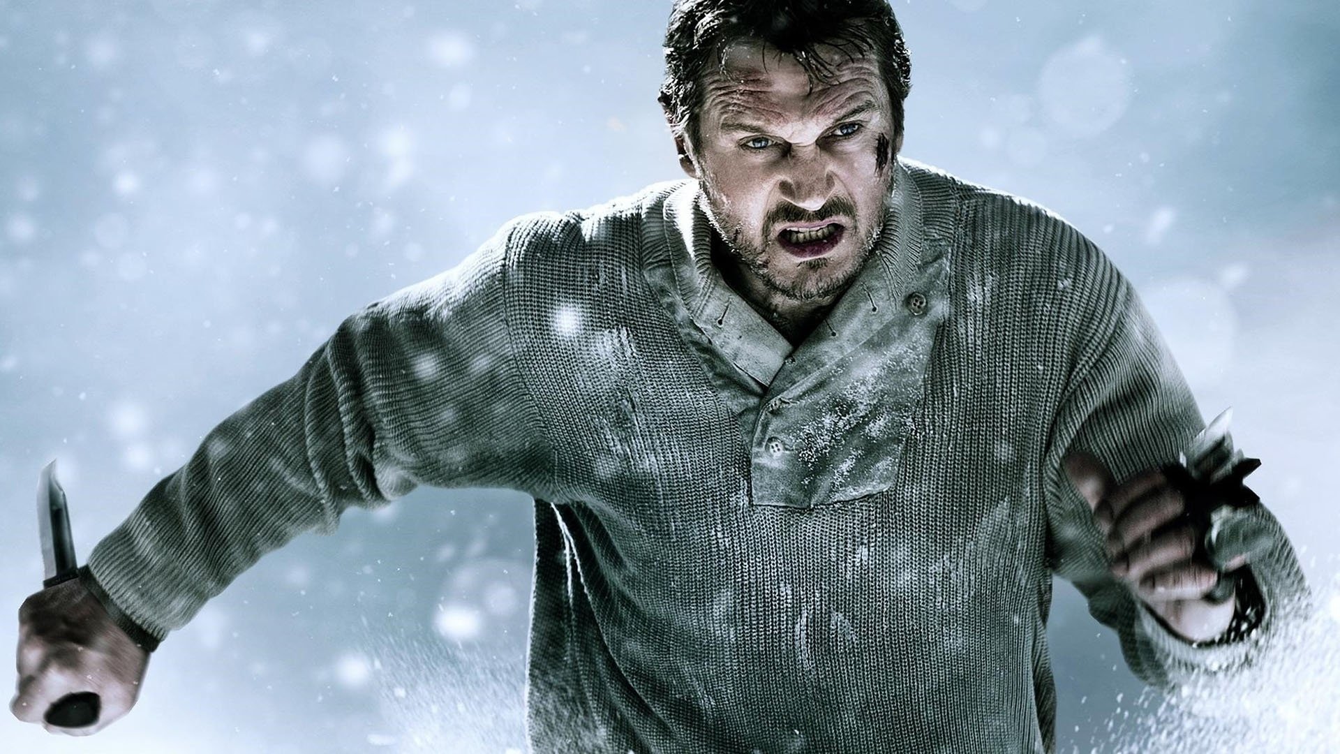 Cold Pursuit (2019)