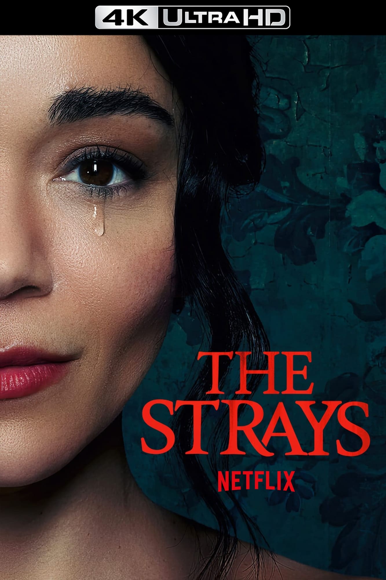 The Strays Movie poster