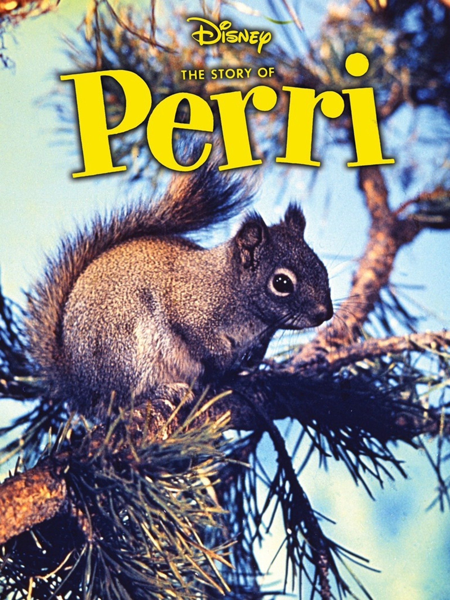 Perri