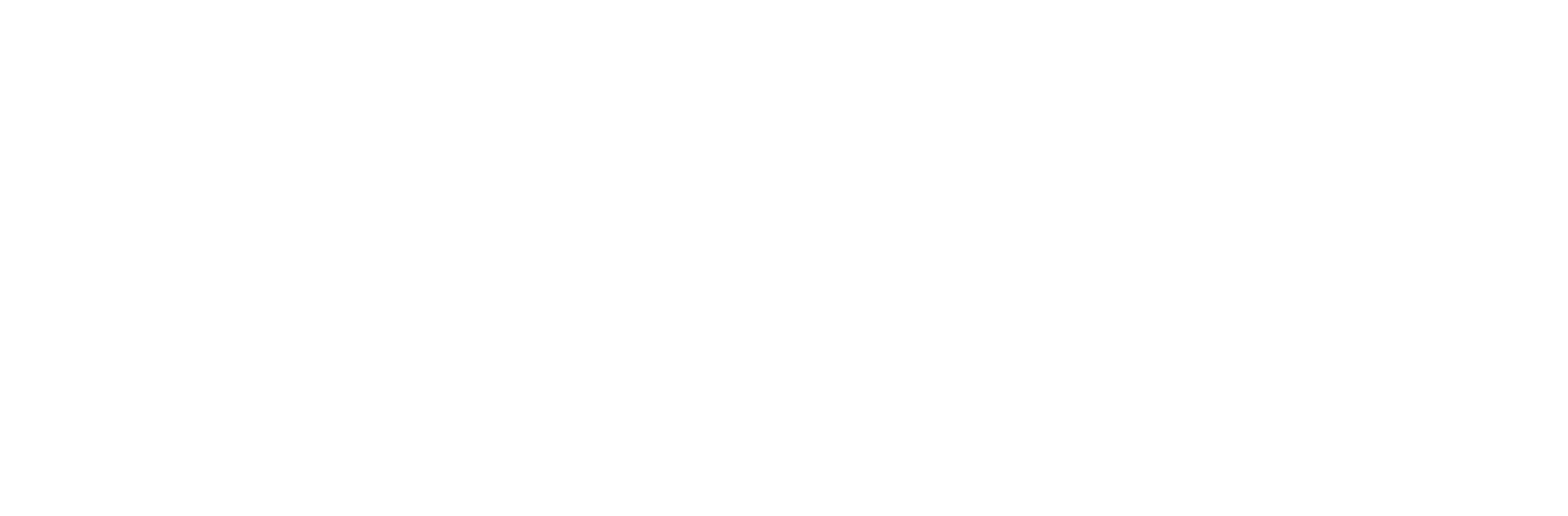 Summer School Logo