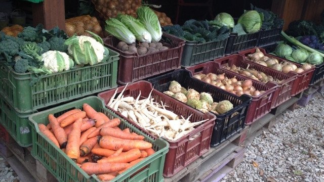 Thumbnail for Episode 350 Season 1 Episode 350