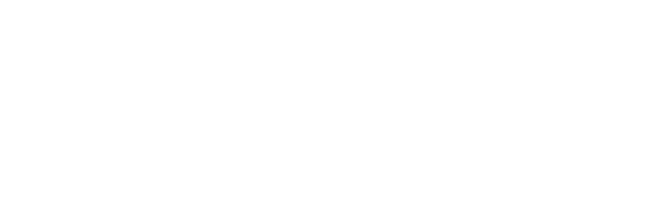 12-sai.