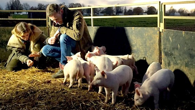 Countryfile 30x50