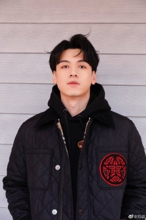 Liu Jia's picture in the cast