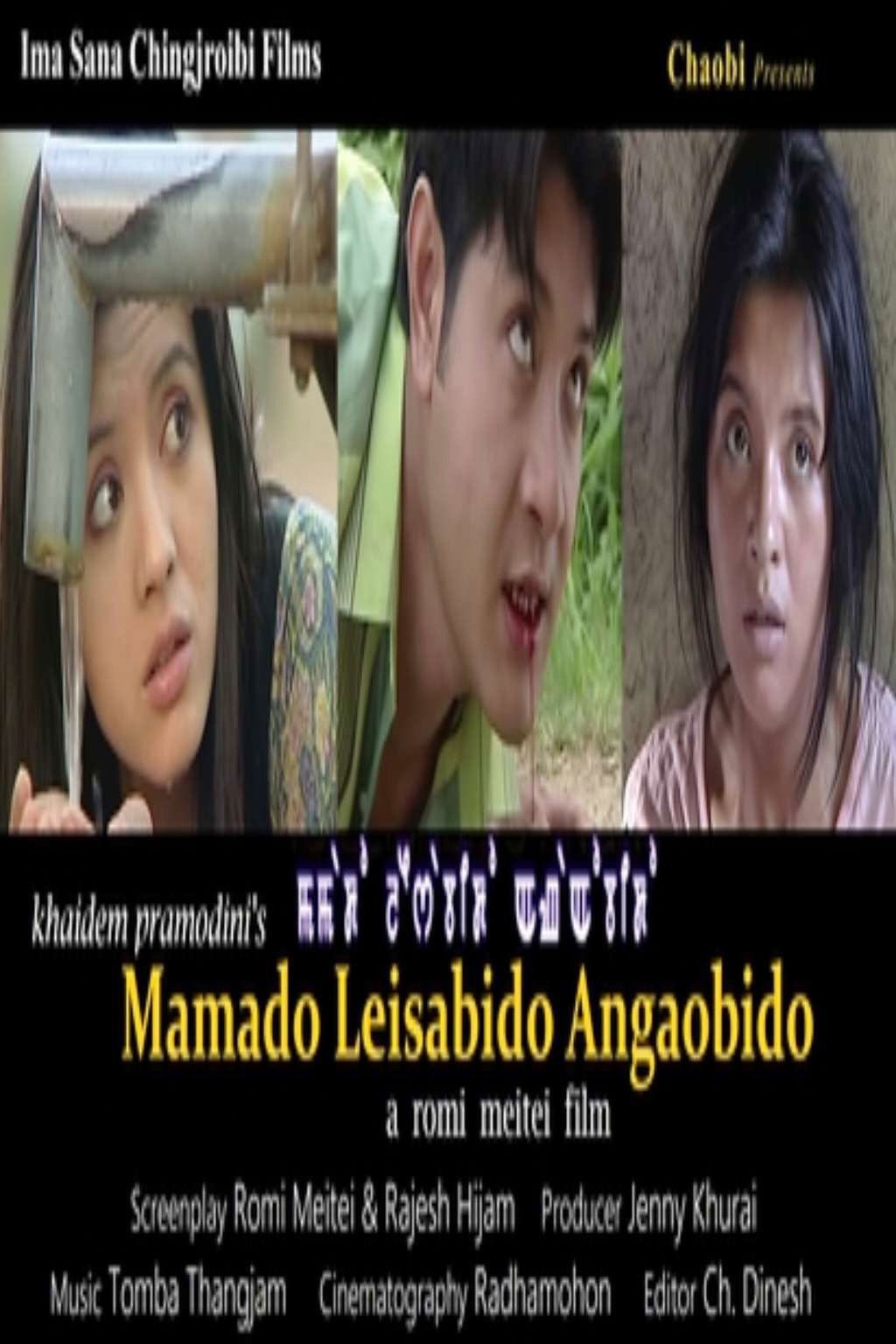 The Mother The Maiden The Mad Lady (2010) movie poster