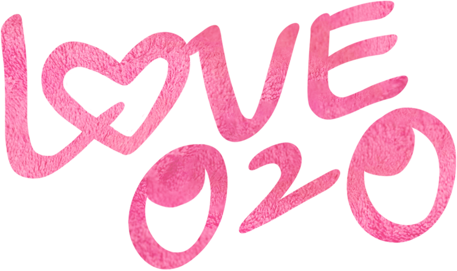 Love O2O Logo