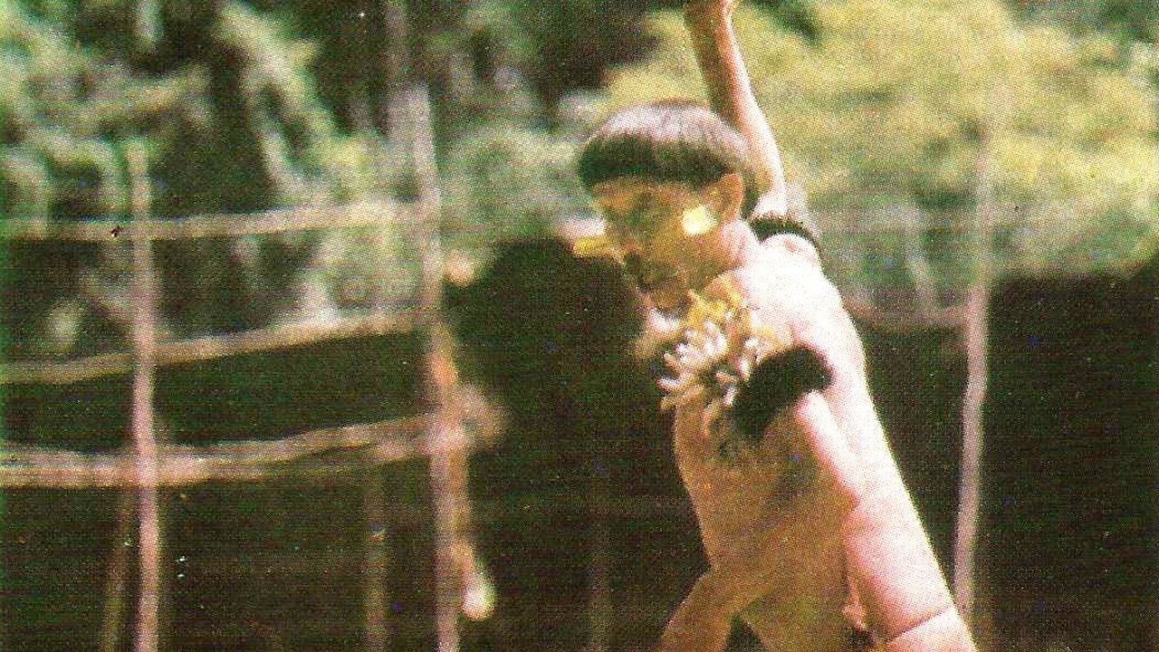 Iniciación de un shamán (1980)