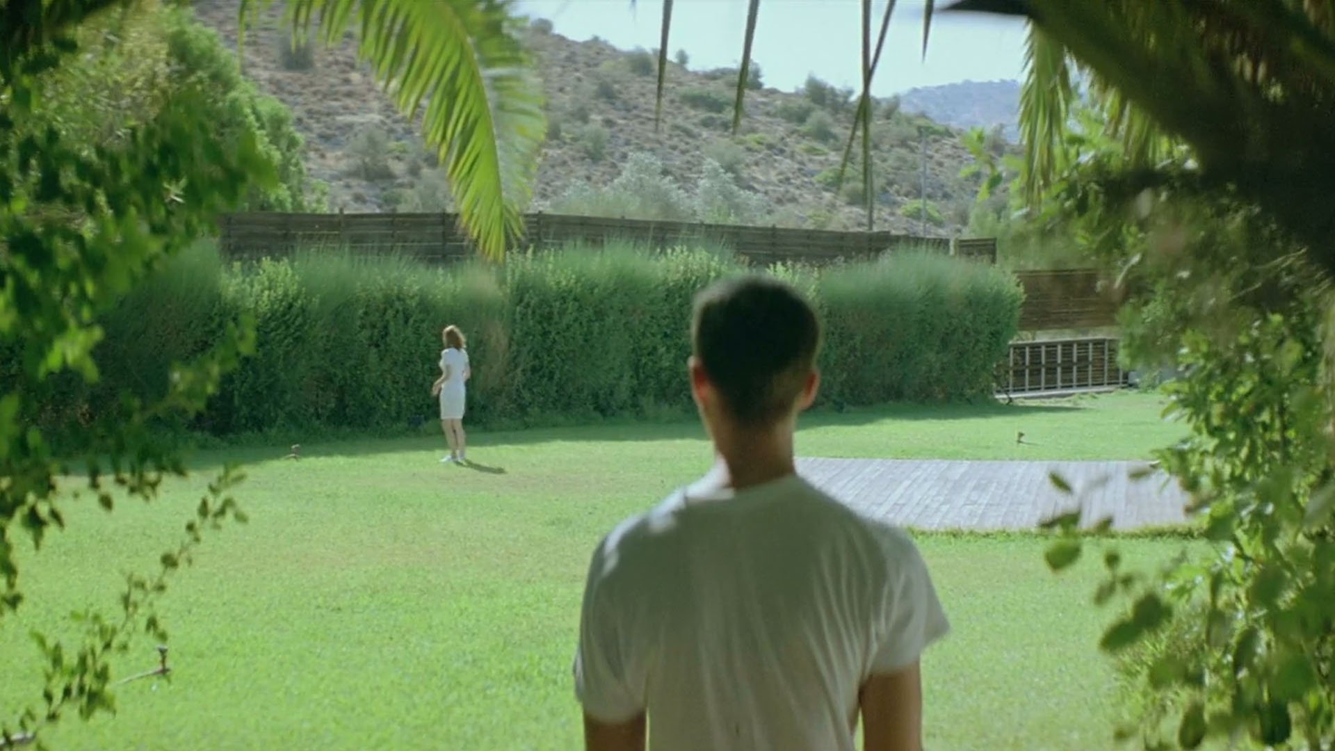 Dogtooth