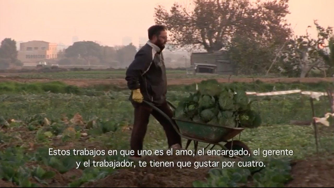 Plou I Fa Sol (2012)