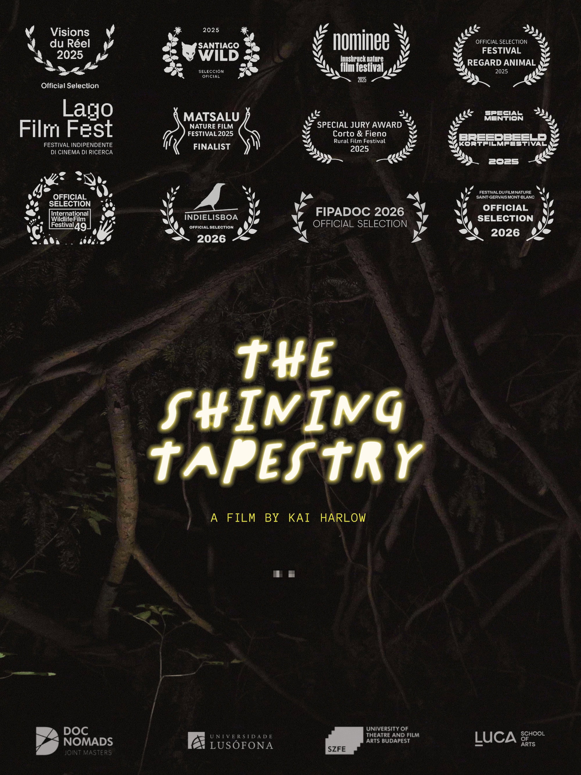 Poster for The Shining Tapestry