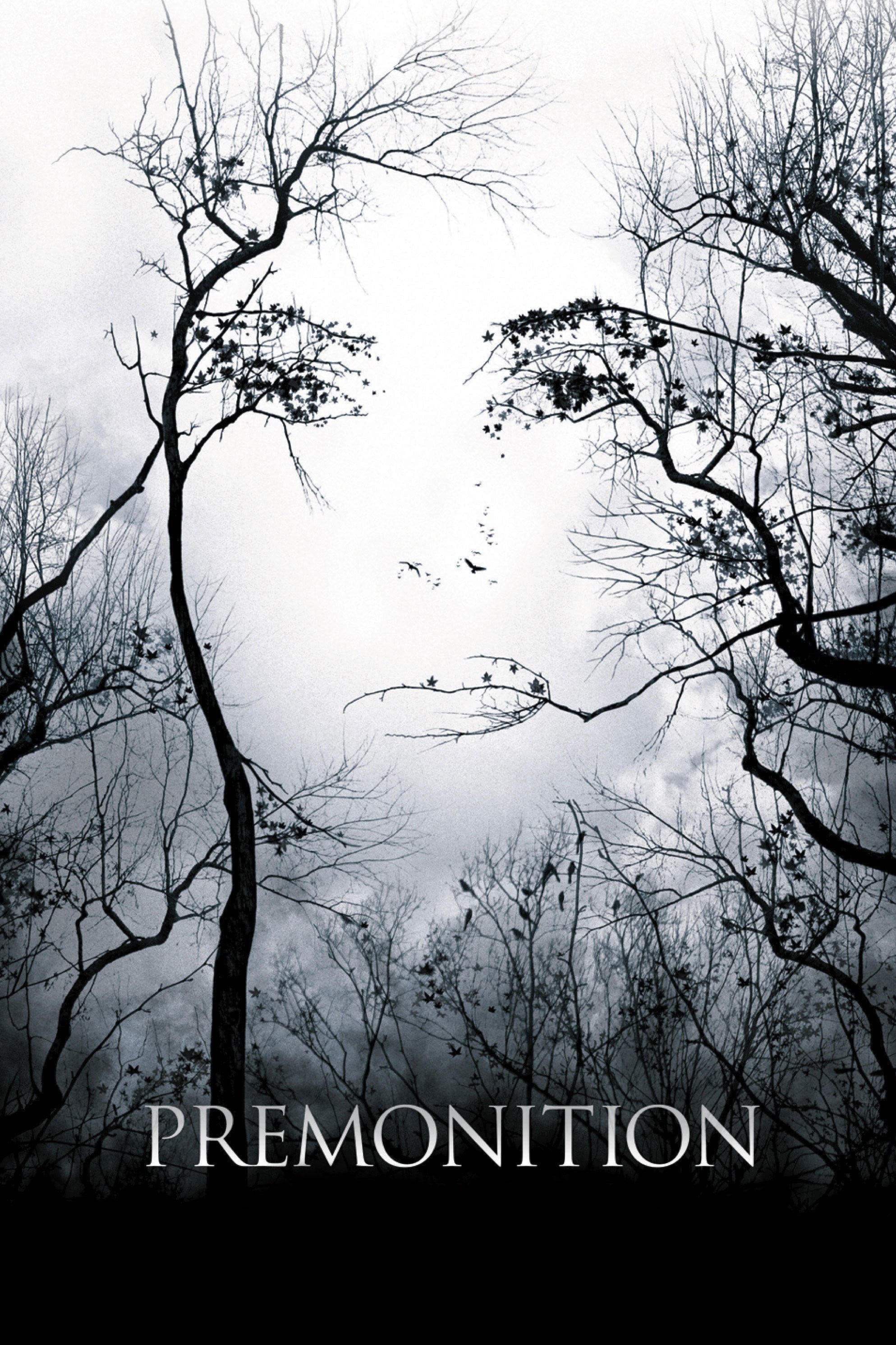 Premonition poster image