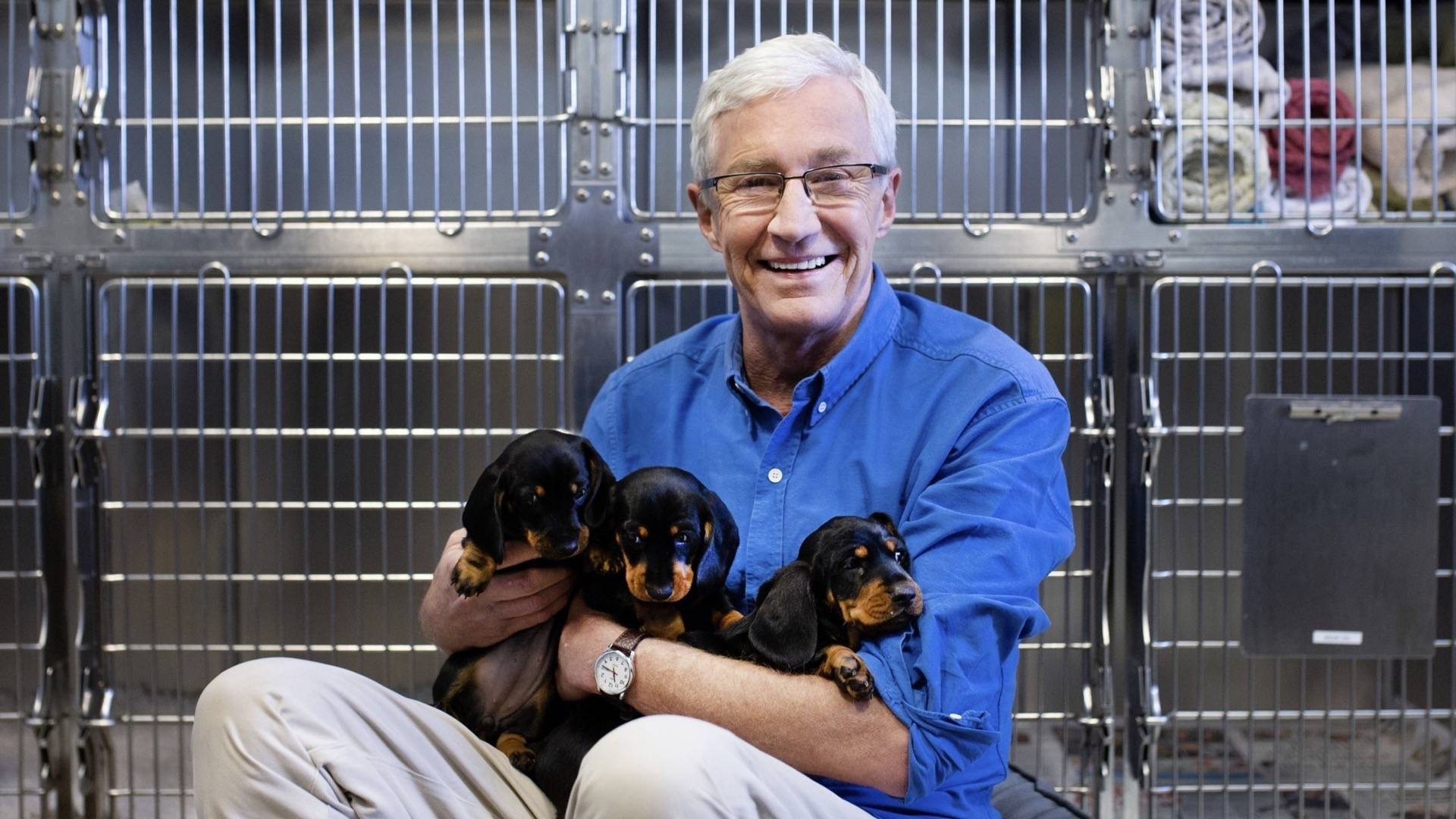 Paul O'Grady, pour l'amour des chiens - Épisode 1