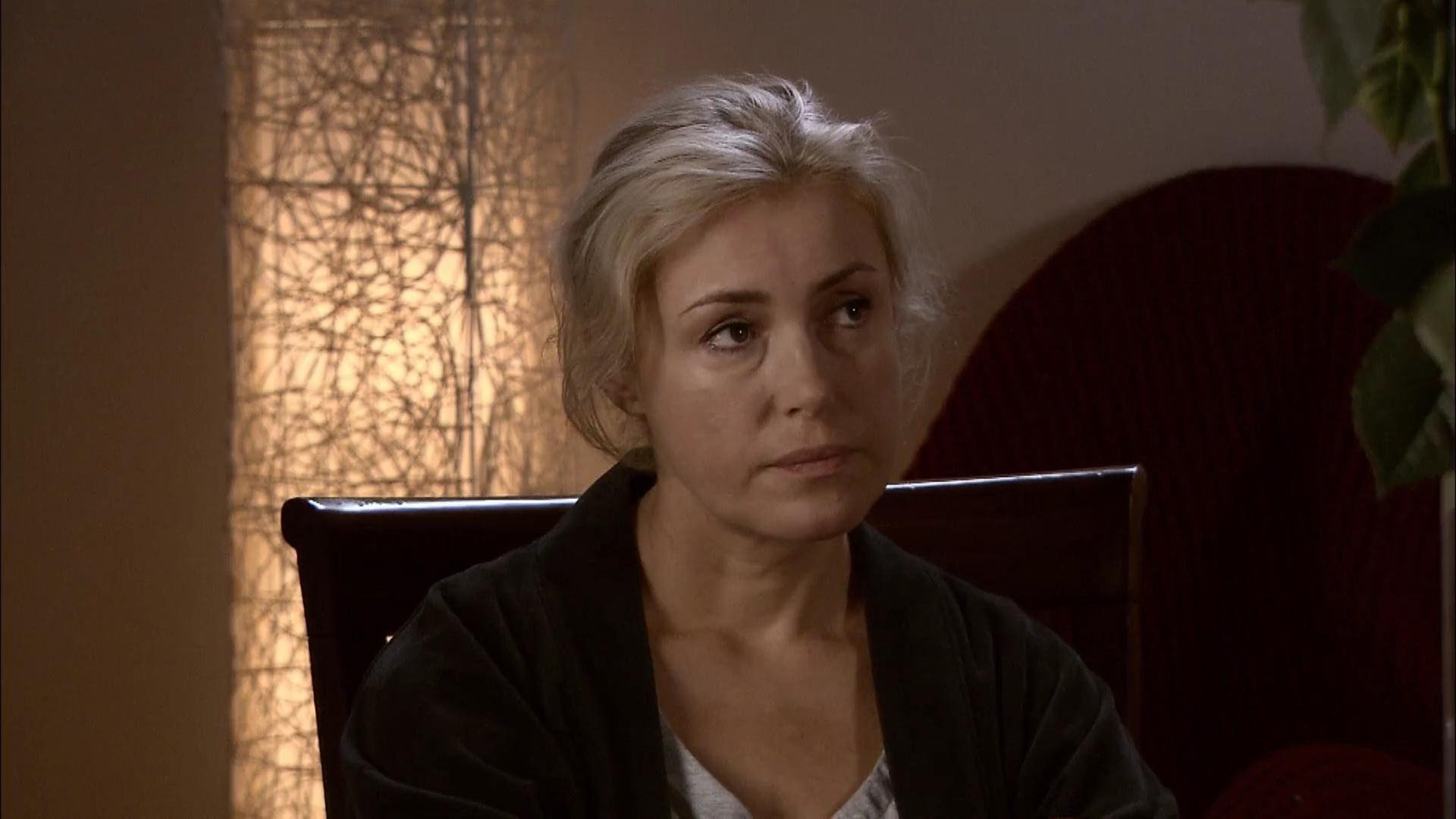 Fireplace Guest (2012)