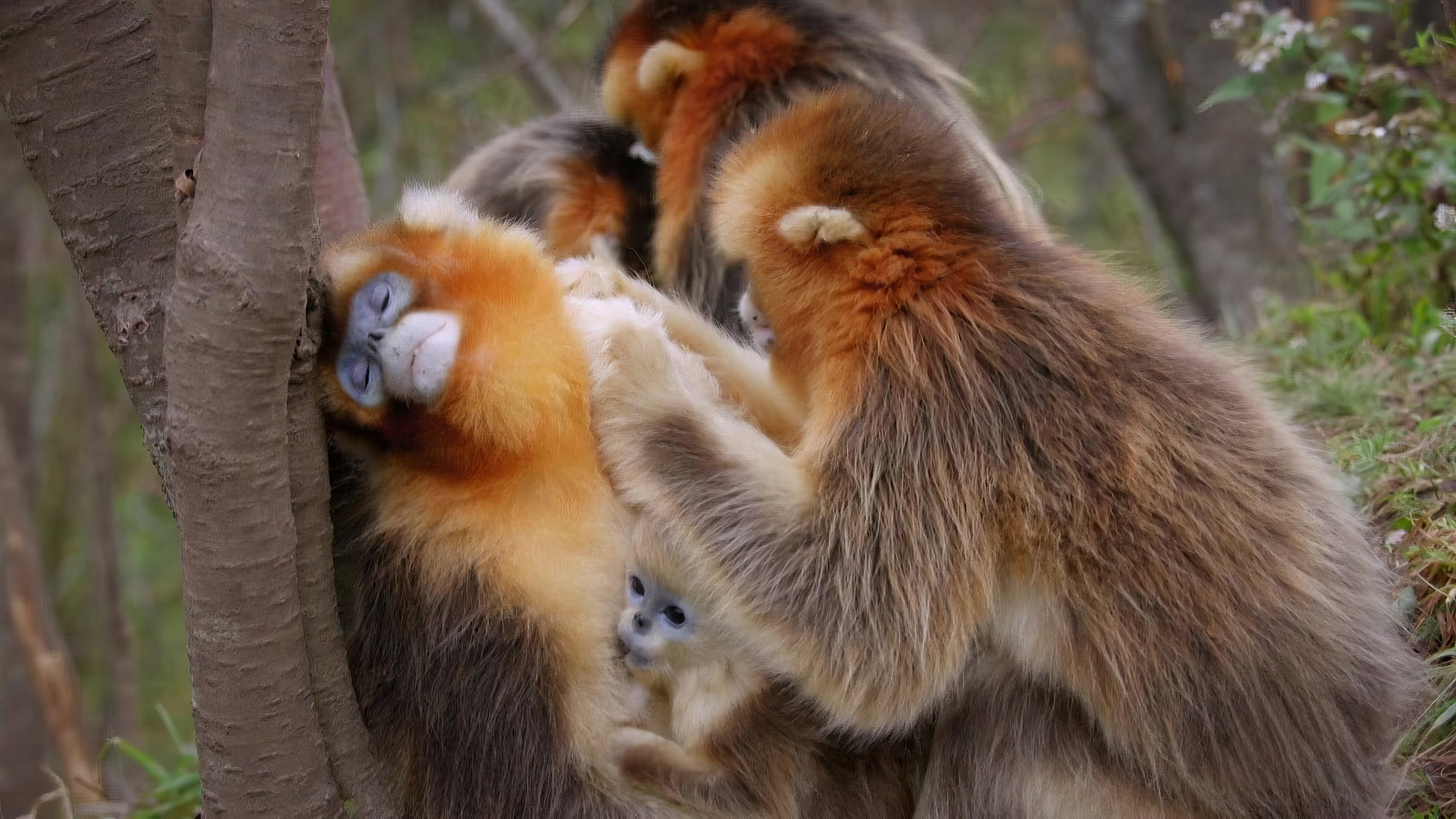 Earth Odyssey with Dylan Dreyer S07E20 backdrop