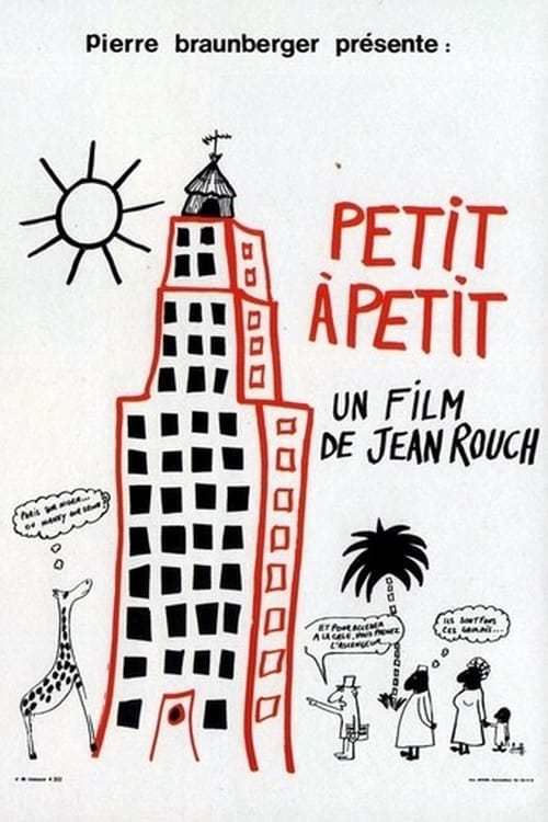 Affiche du film Petit à Petit 13543